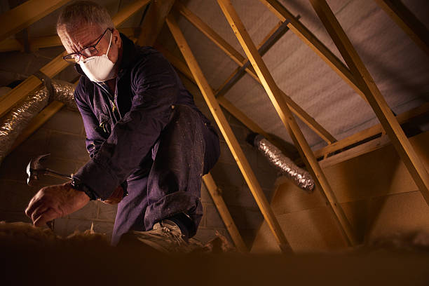 Types of Insulation We Offer in Volo, IL